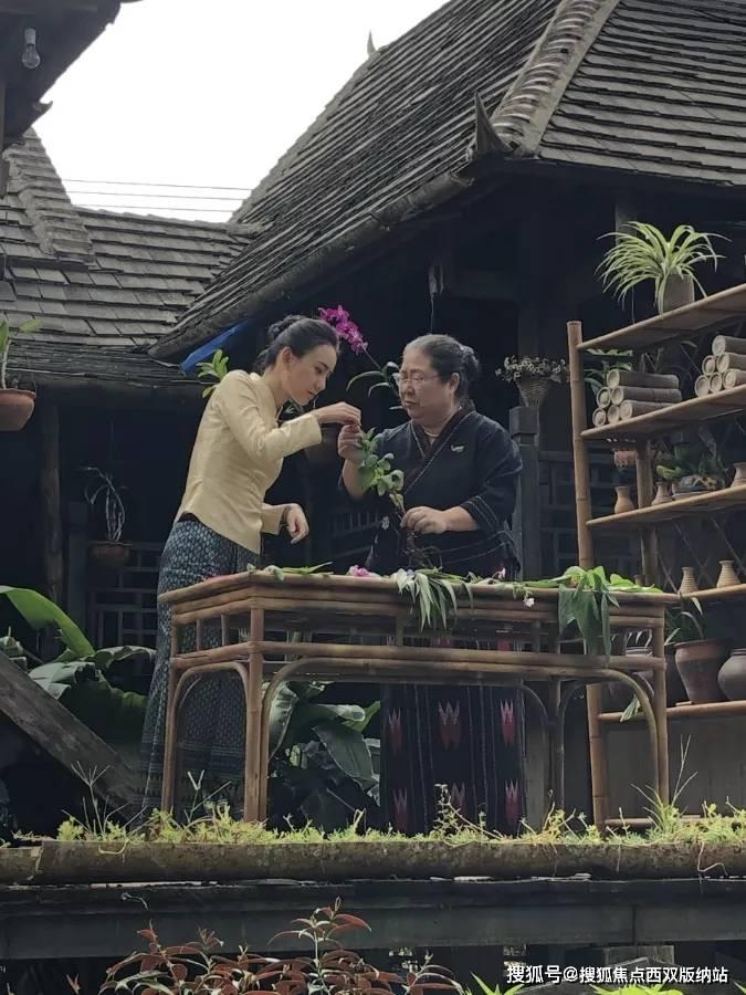 填满红色选关版